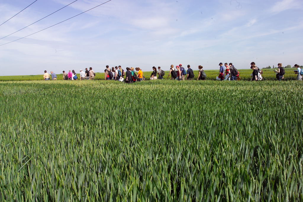 Enseignement agricole