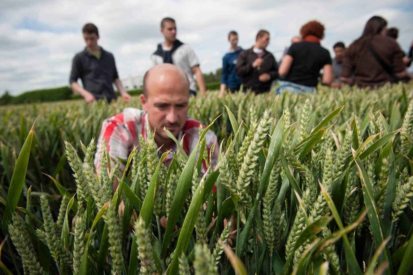 Conseil en agriculture